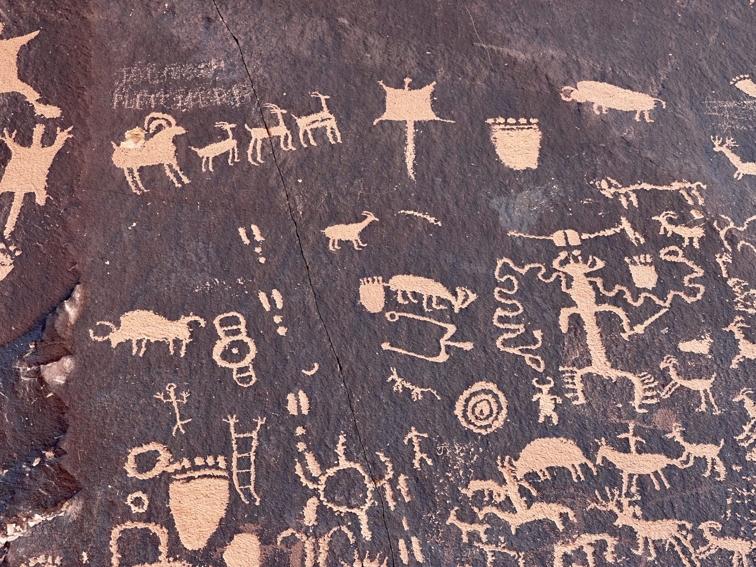 Canyonlands 国家公园第二天