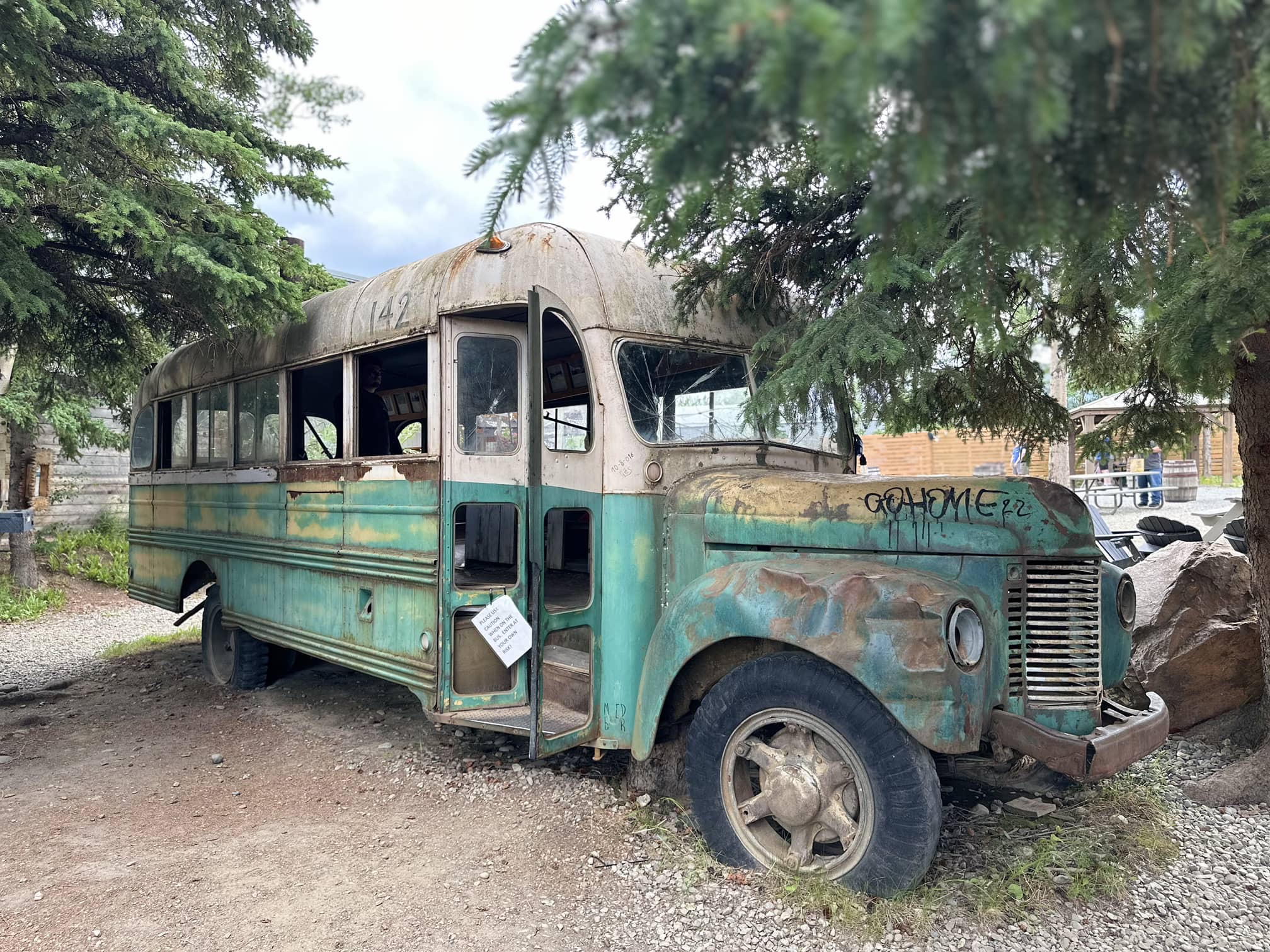 Into the Wild