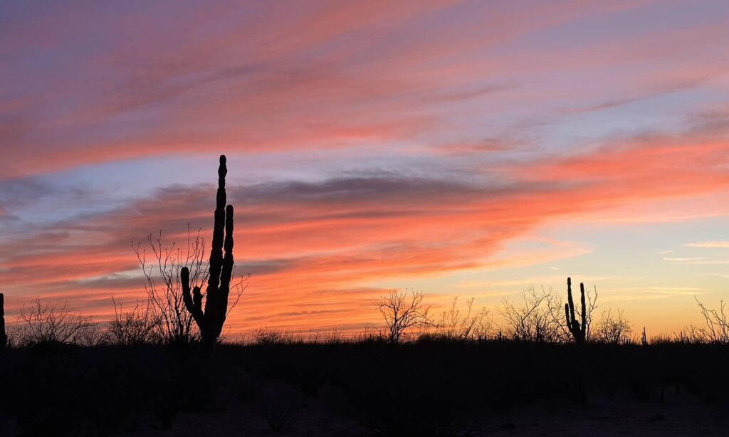 This image has an empty alt attribute; its file name is IMG_2081-compressed-1024x614.jpeg