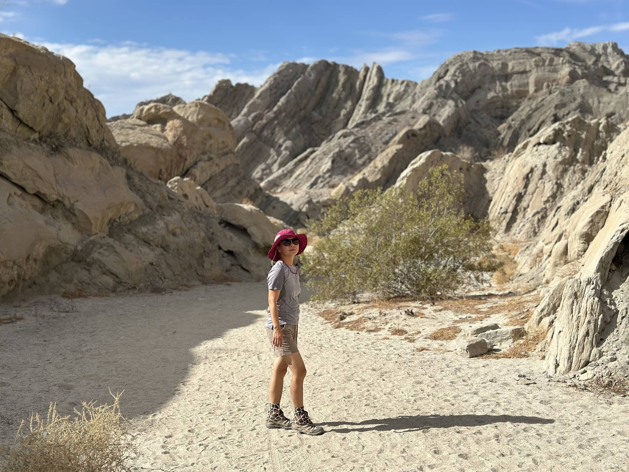 大棕榈泉地区：Sunnylands + Indio Hills Badlands