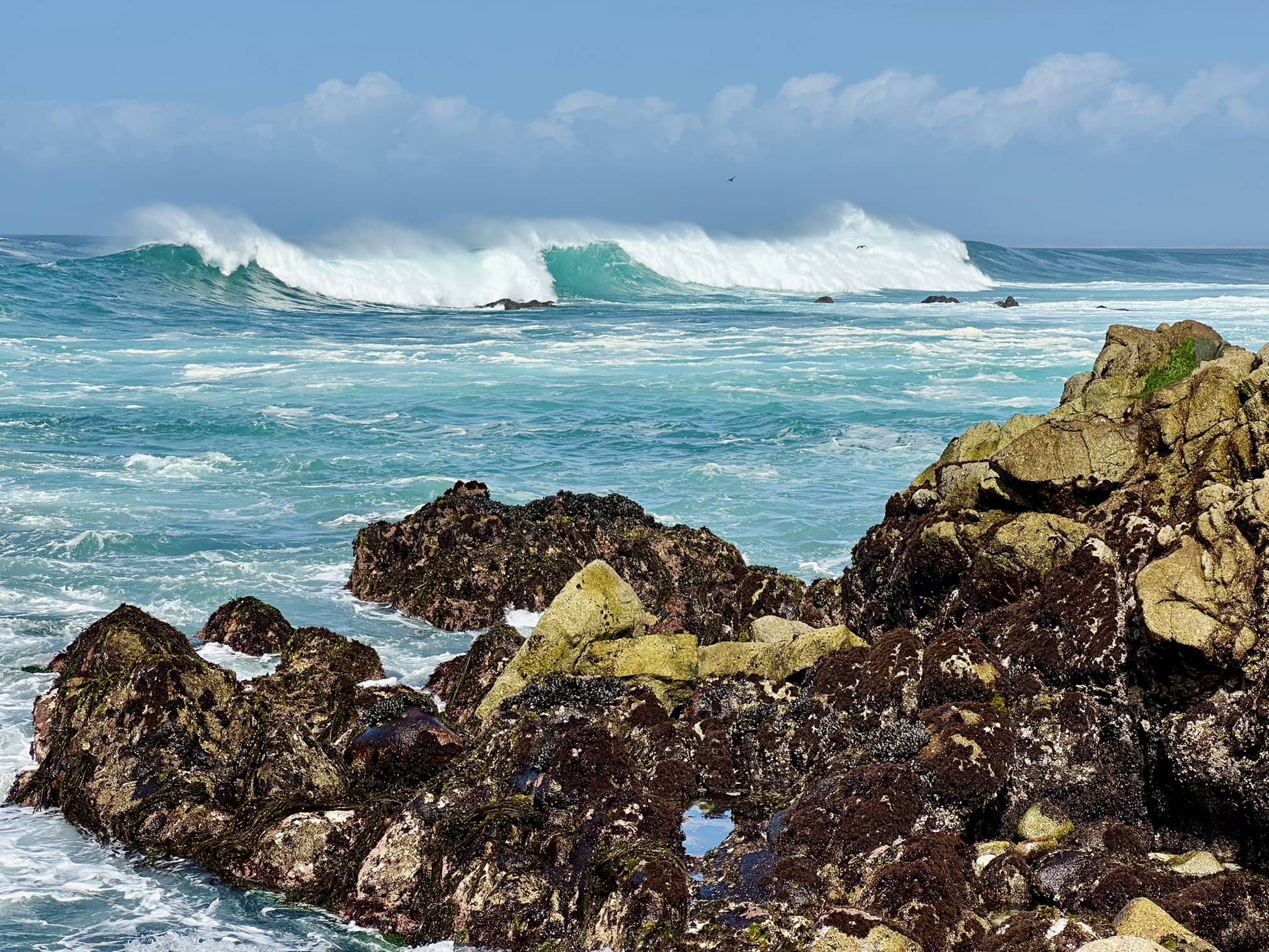 Monterey