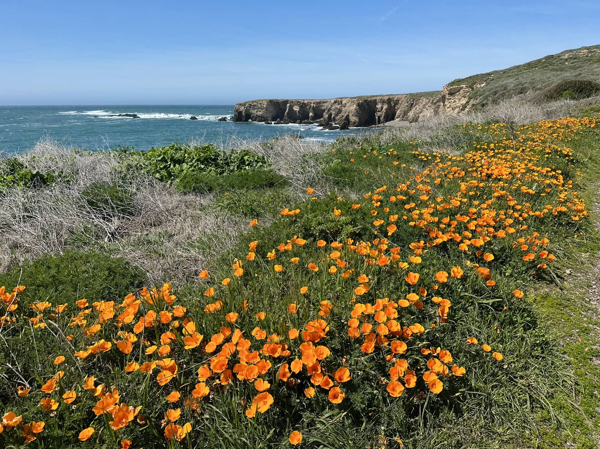 Point Buchon Trail