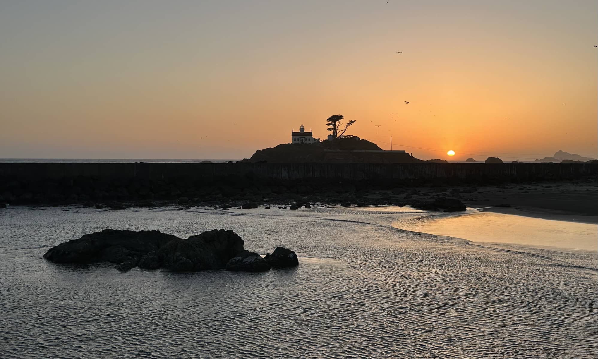 拜拜了加利福利亚