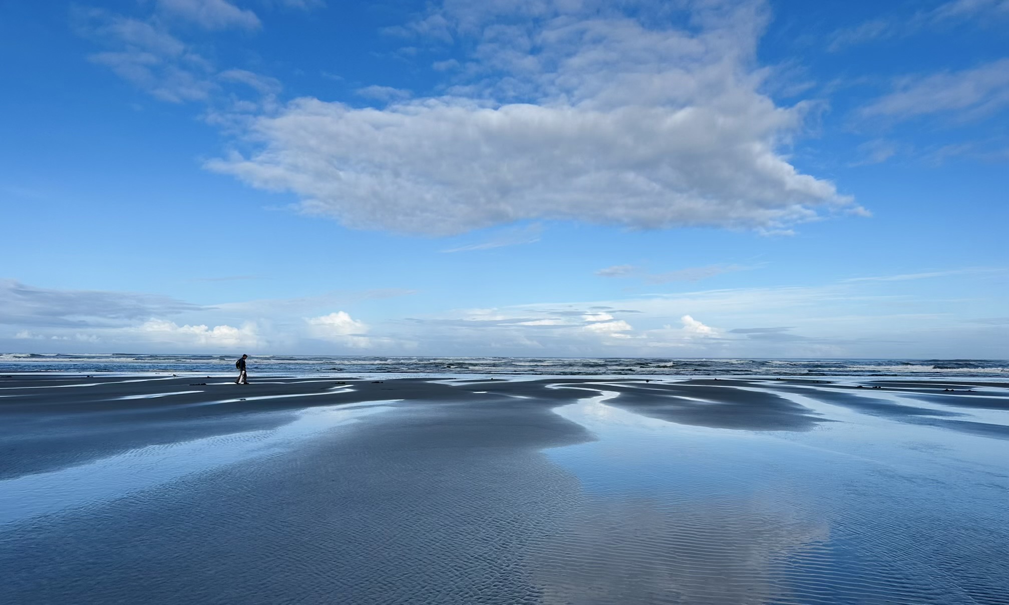 大西北赶海之美味Razor Clam
