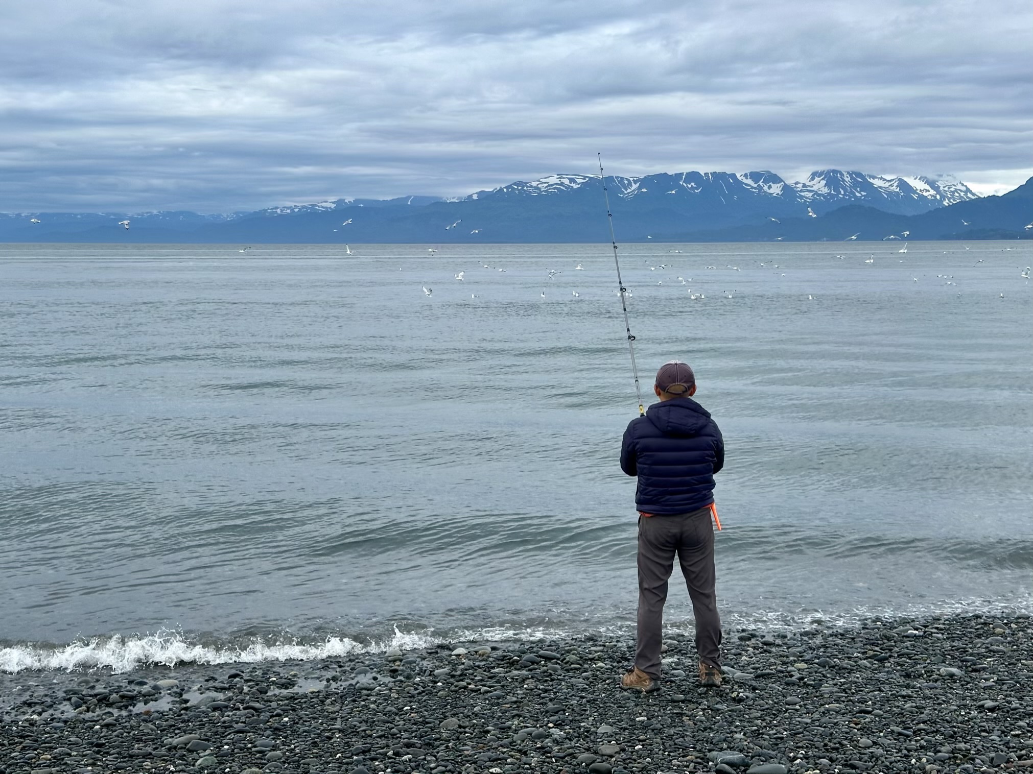 Homer – 钓鱼佬的天堂